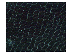 110 Snake Black -Stiletto
